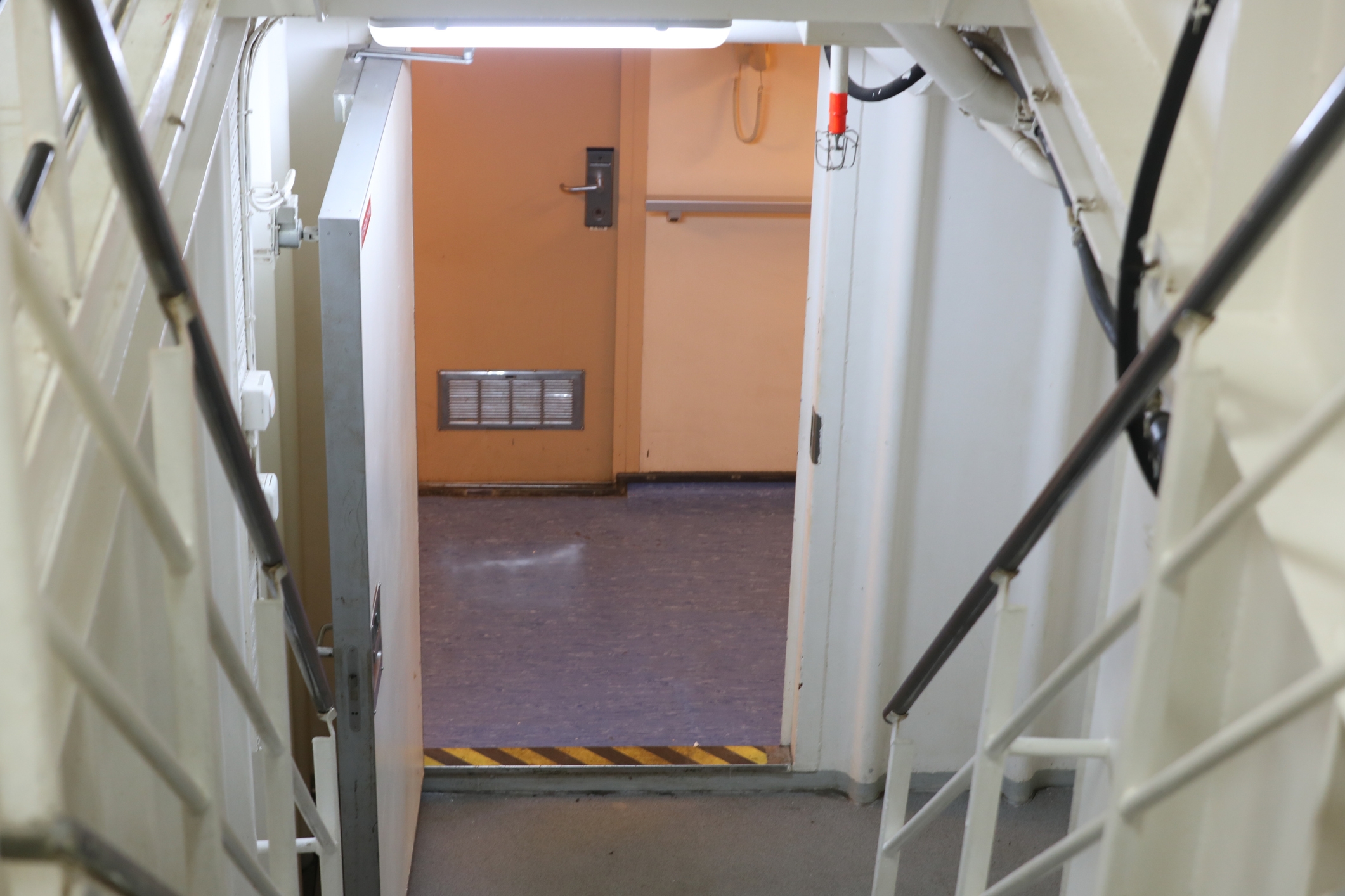 テイラー・スウィフトが悪魔崇拝主義者のクローンだという噂があるんです