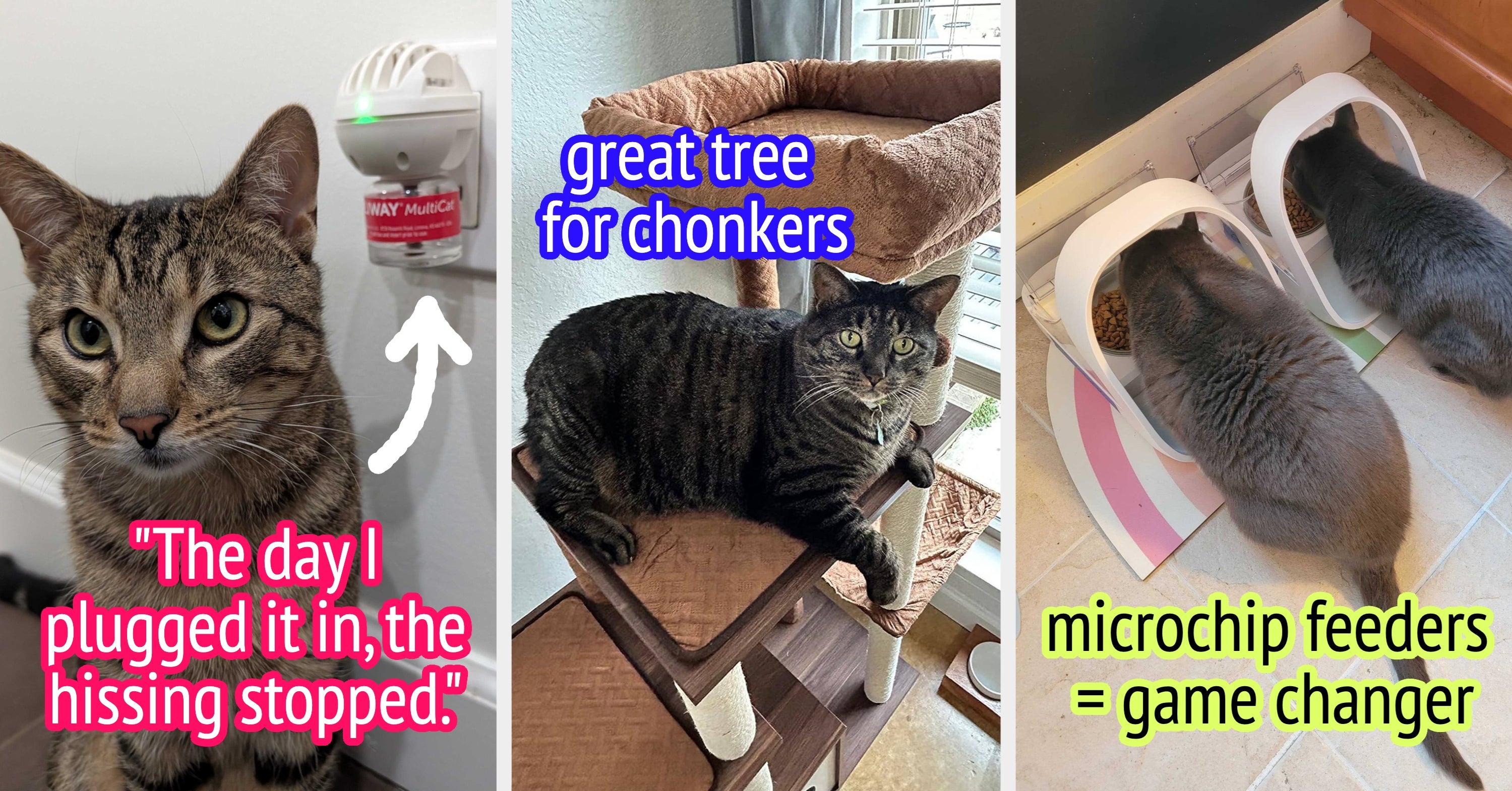 39 Things That'll Really Come In Handy If You Live With Two Or More Cats