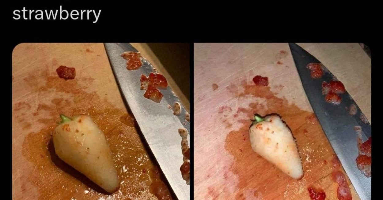 18 Absolutely Perfect Tweets From This Week That Will Give Your Brain The Break From Politics It Desperately Needs