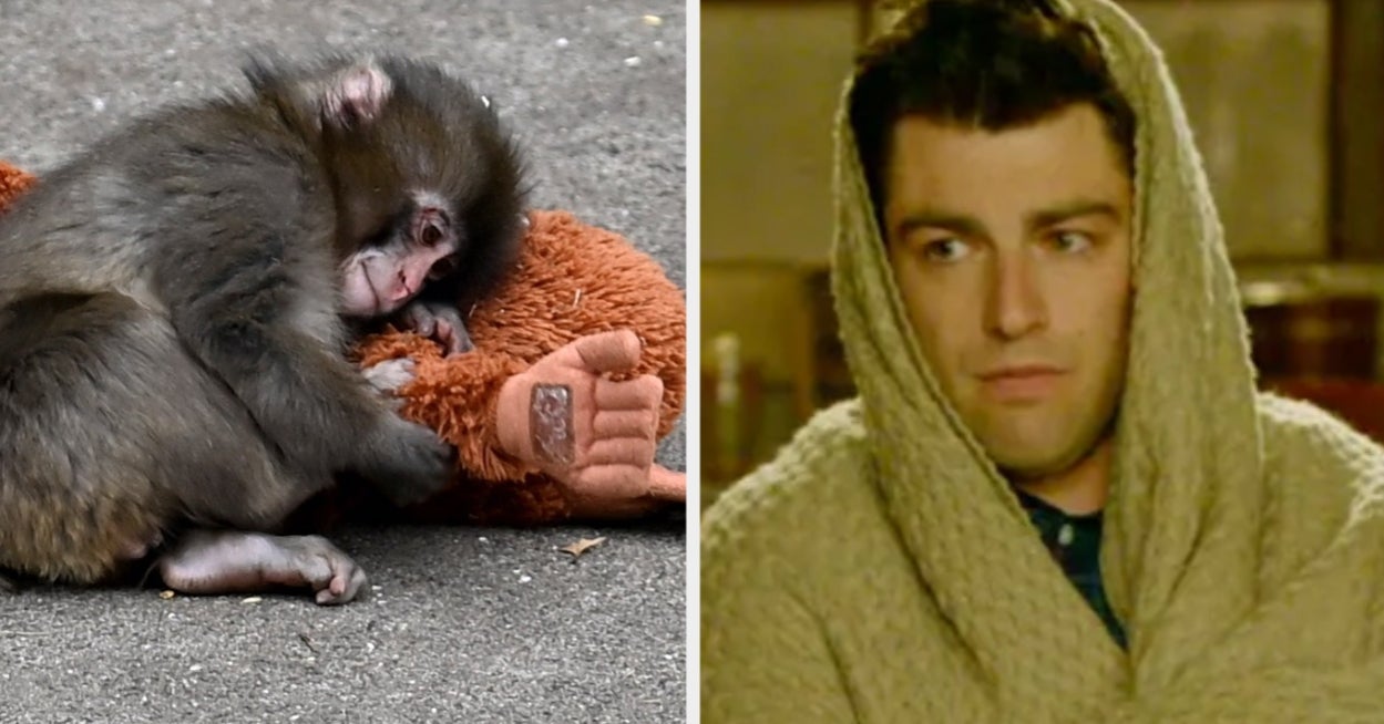 Watch A Lot Of TV And Find Out What Animal You Are Deep Down