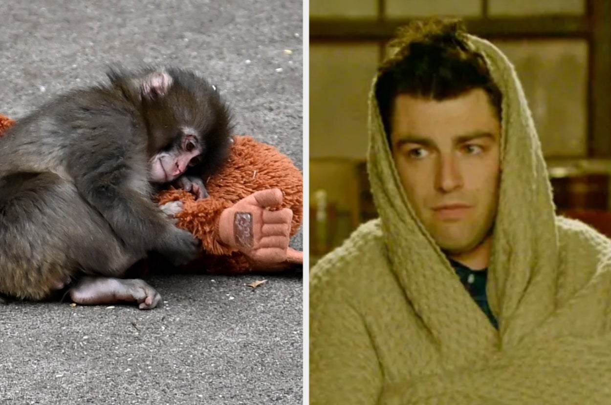 Watch A Lot Of TV And Find Out What Animal You Are Deep Down