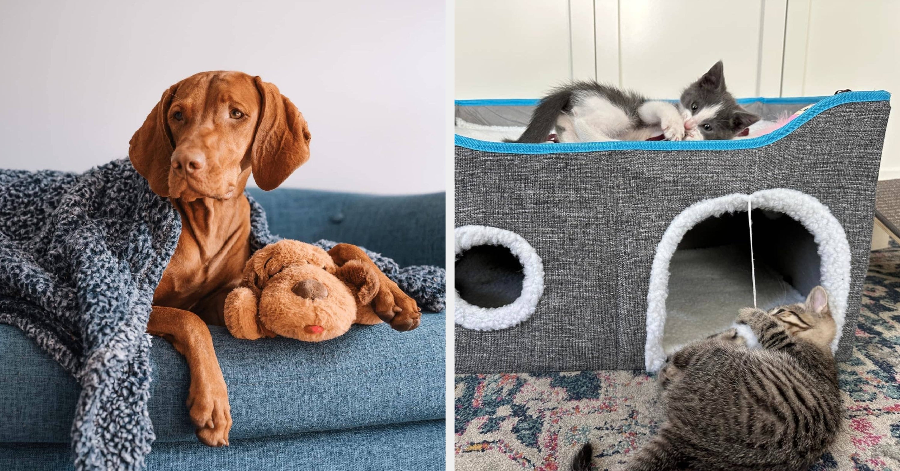27 Products Made To Bring Your Pets Some Comfort Because They Deserve It