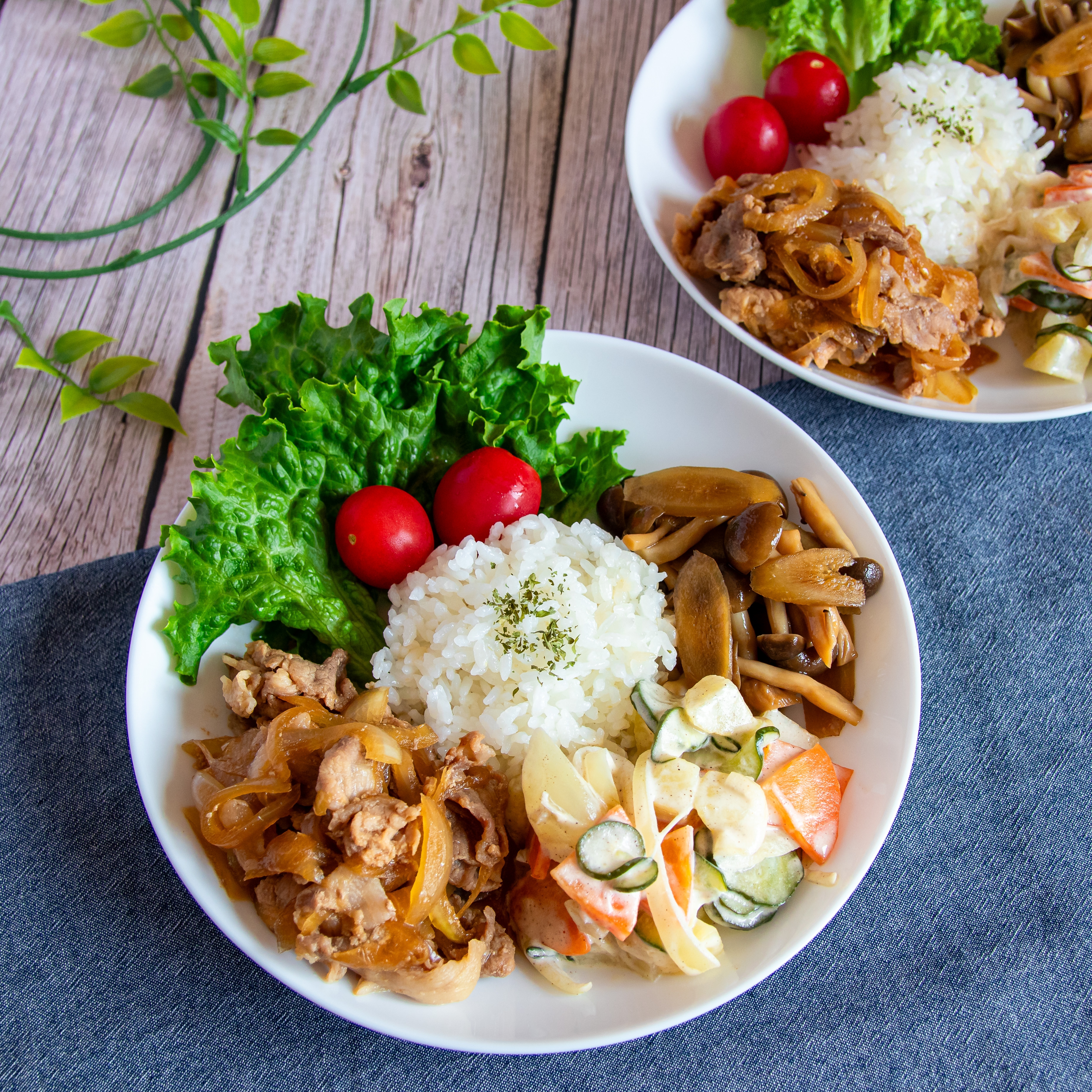 ご飯と野菜、トマトと共に盛られた肉ときのこの料理が白い皿にのっている。