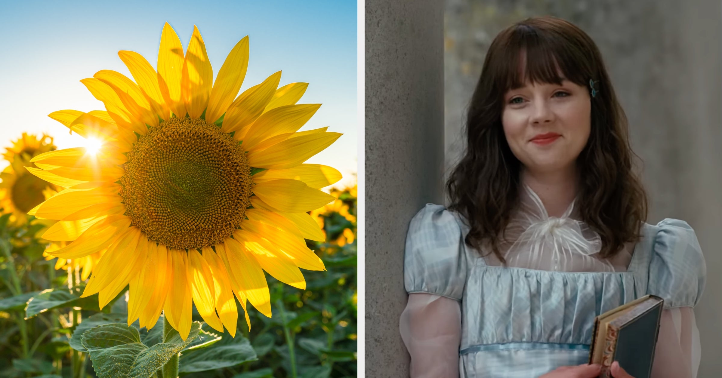 Pick Your Favorite Blooms And We'll Reveal Which Bridgerton Sibling Would Become Your BFF