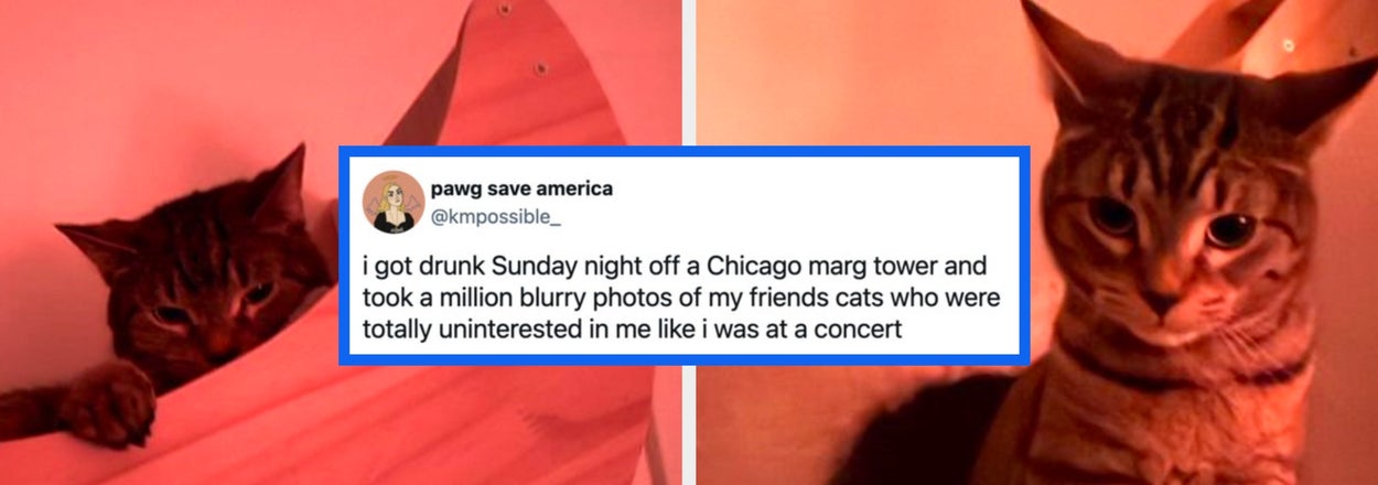 Just 20 Wholesome Posts From The Internet This Week That I Guarantee Will Improve Your Mood By 99.999%