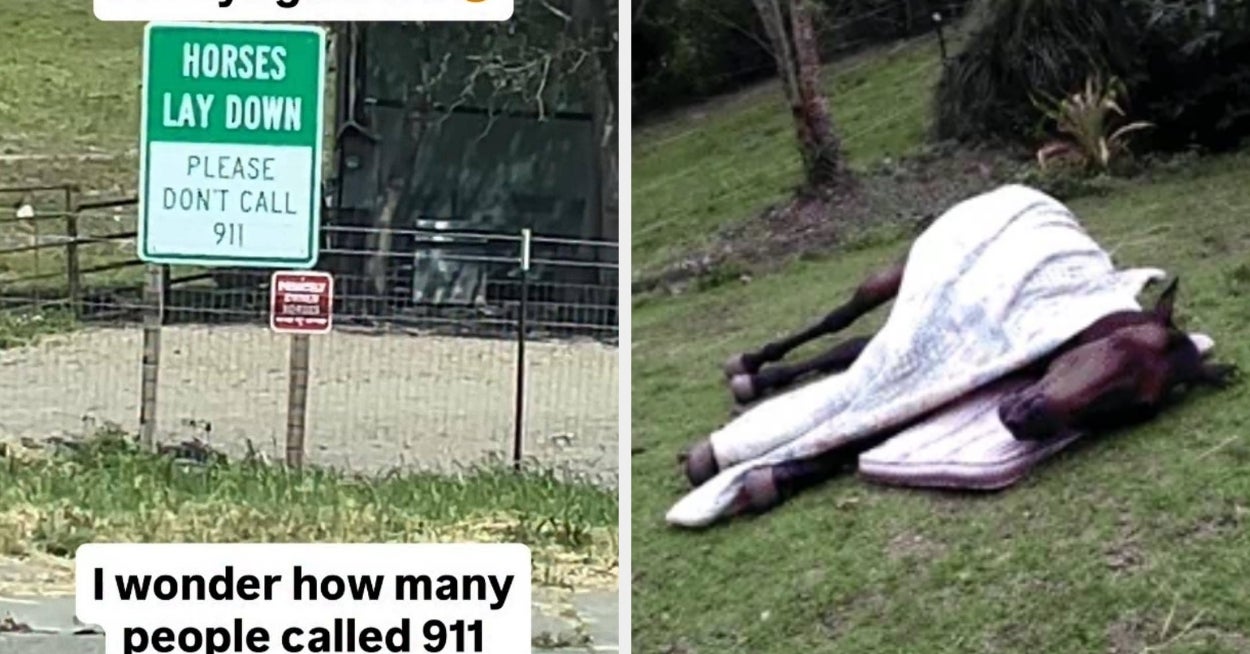 19 Warning Signs That Hint At Such Chaotic Stories I'm Literally Begging To Know What Happened