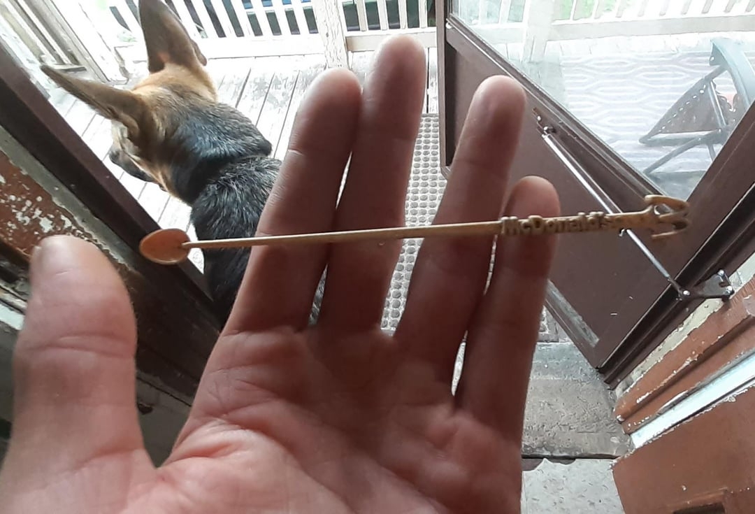 A manus  holds a slender, spoon-like instrumentality   labeled "Honeycomb" adjacent  to a canine  by a door