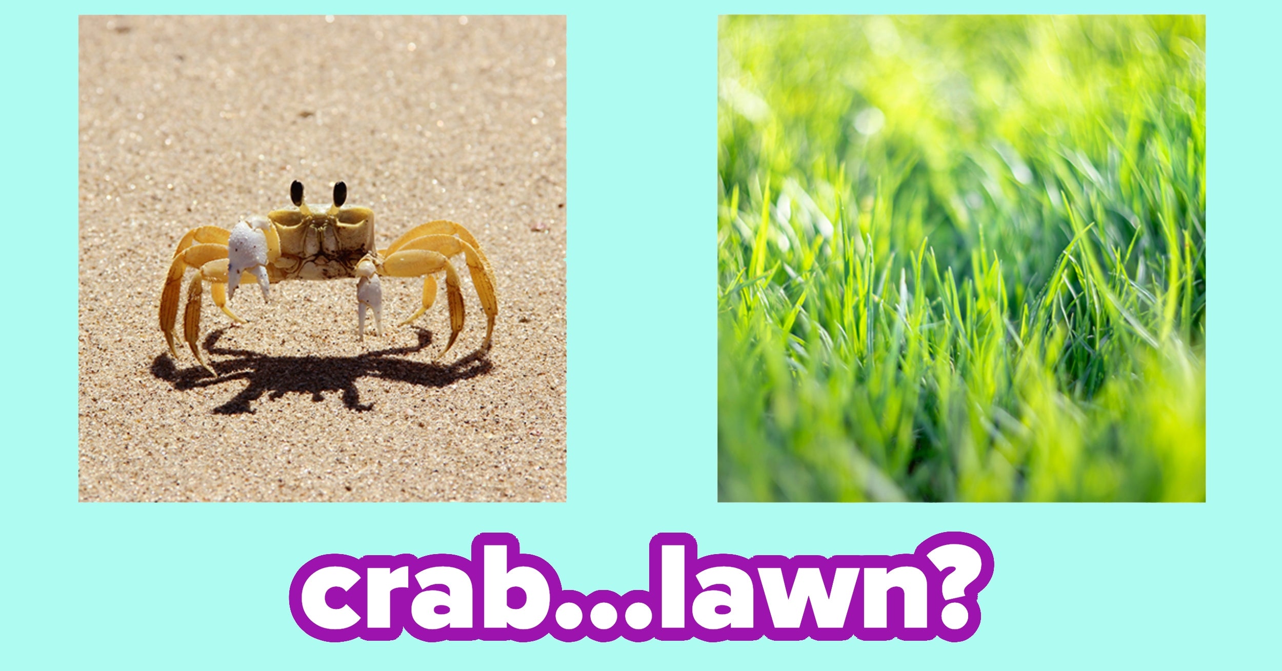 If You Can Solve These 15 Word Picture Puzzles, Your Brain Is Working In Rare Perfect Harmony