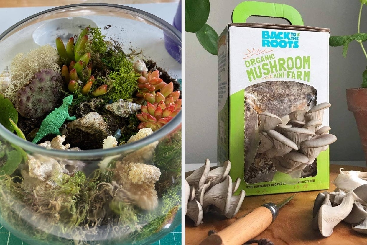 If You’re A Tired Parent With Very Little Alone Time, One Of These Easy Hobbies Might Be For You