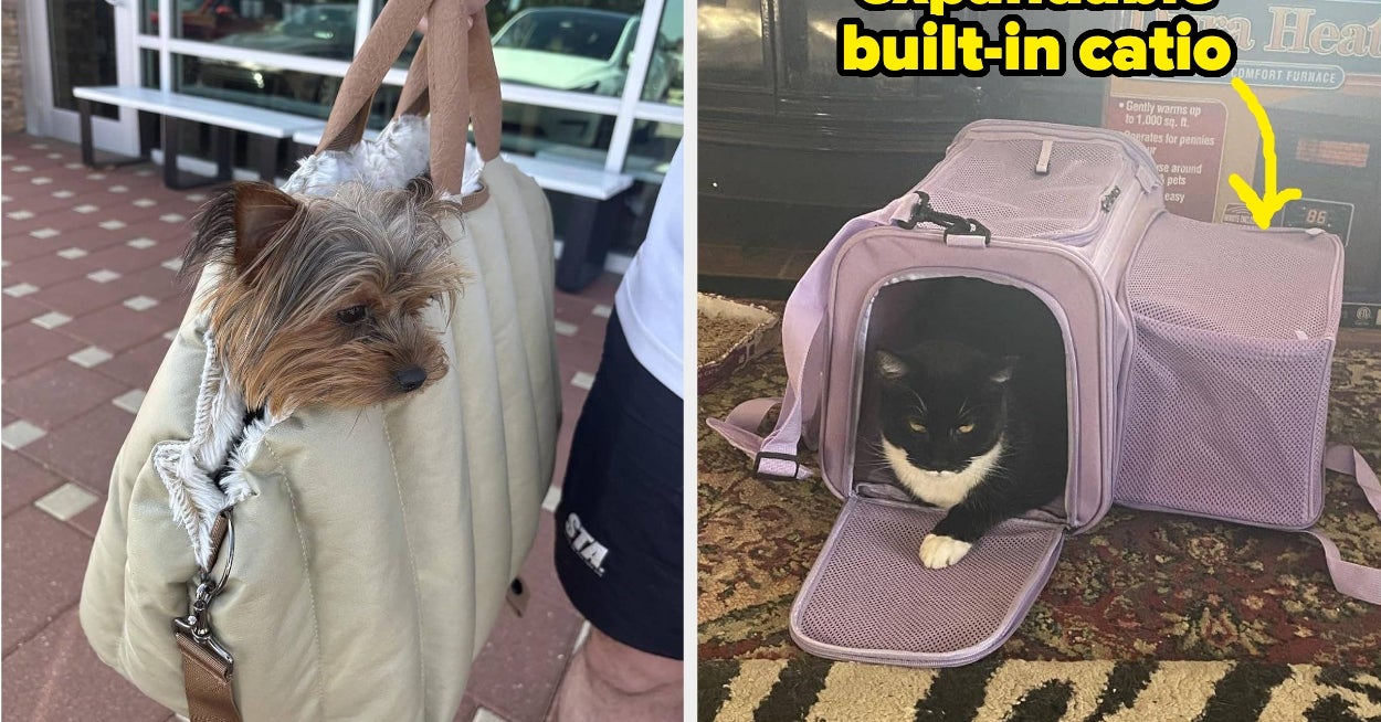 21 Pet Carriers Reviewers Swear By