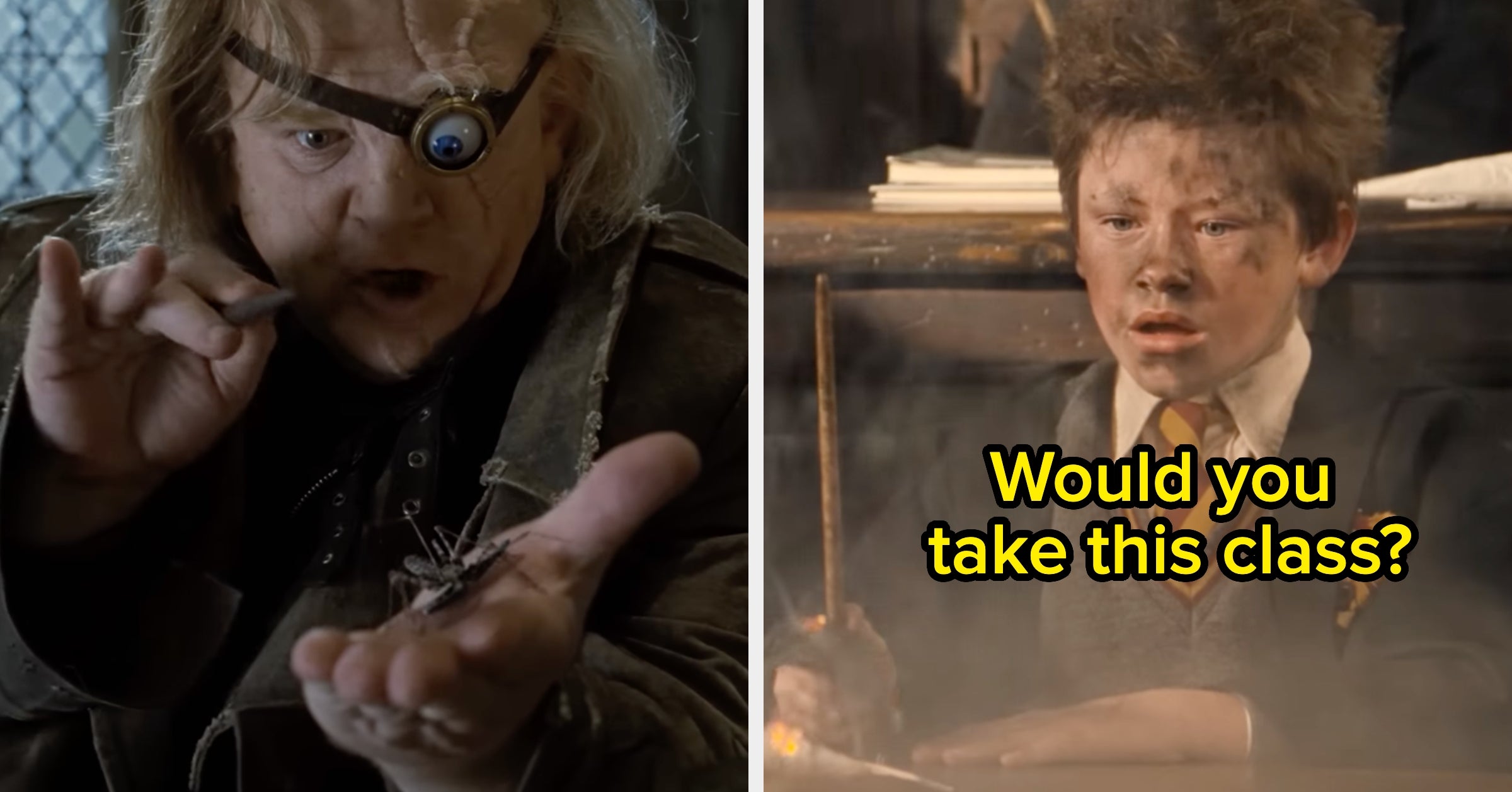 "Harry Potter" Class Showdown