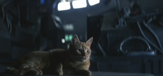 A feline is lying connected a dimly lit spaceship interior, surrounded by machinery and screens