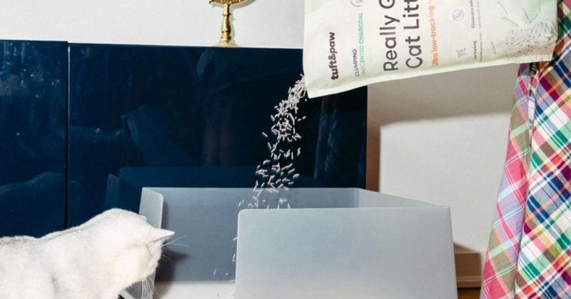 'Tofu Litter' Might Be Better For Your Cat, Vets Say