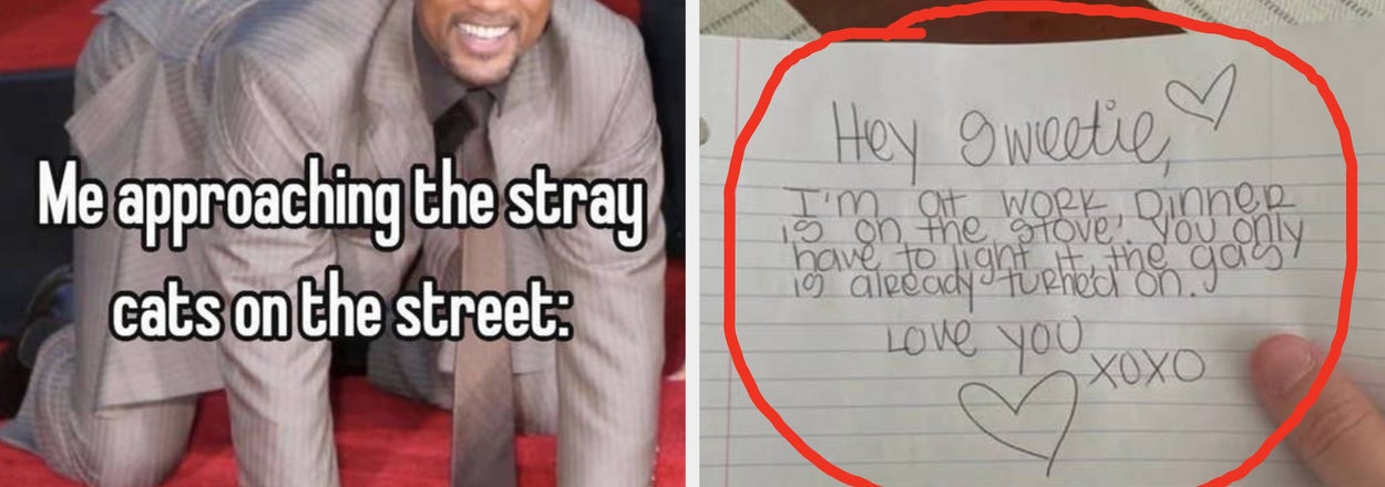 33 Unbelievably Dumb Pictures Captured At JUST The Right Moment That Get Funnier And Funnier No Matter How Many Times I’ve Seen Them