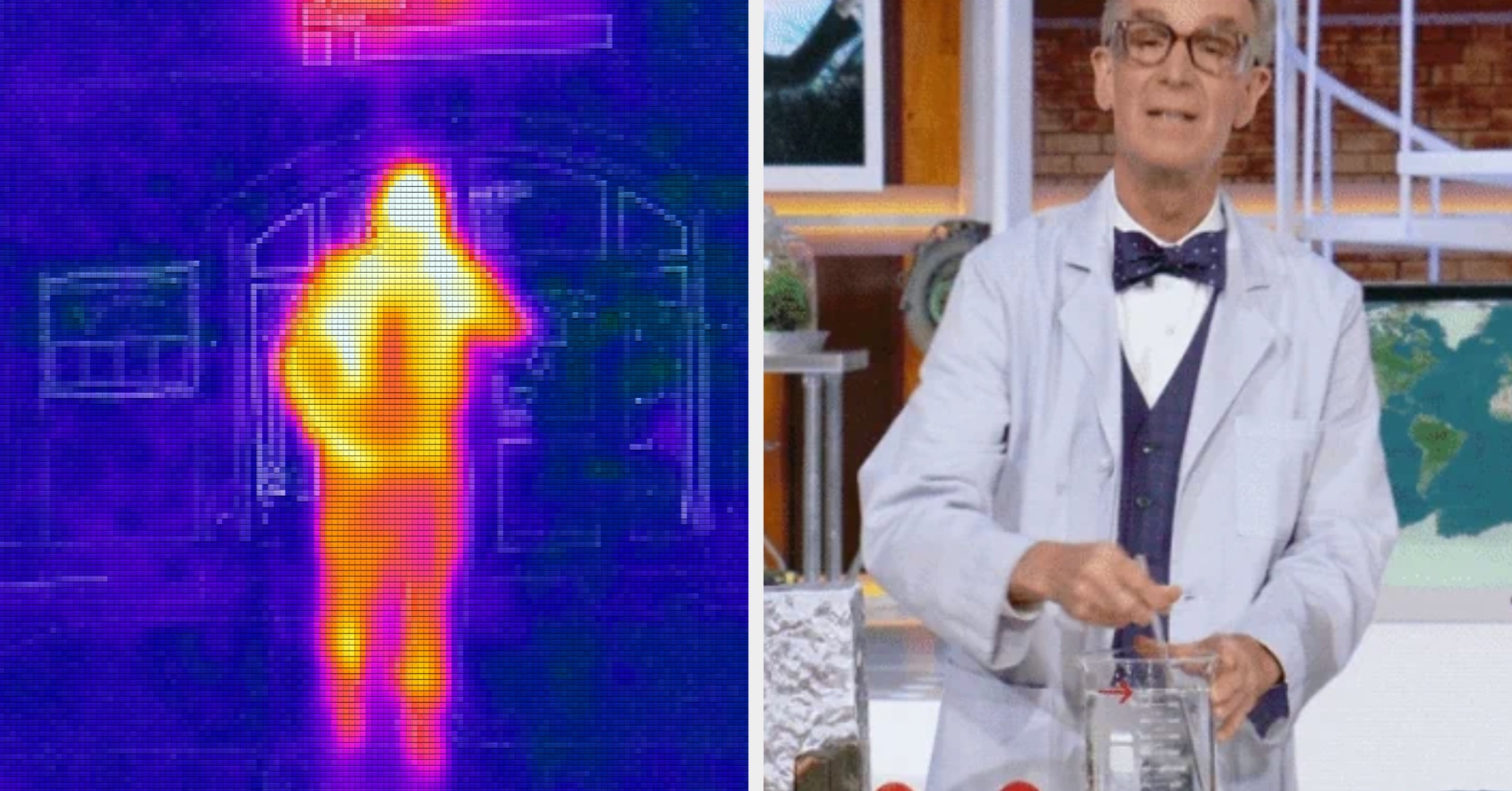 Your Vocabulary Is Officially In The 90th Percentile If You Know What These Biology Words Mean