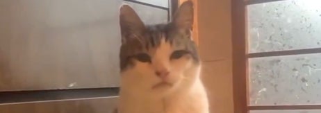 座り込むイチロー男爵くん（まっちゃんさんのXより）