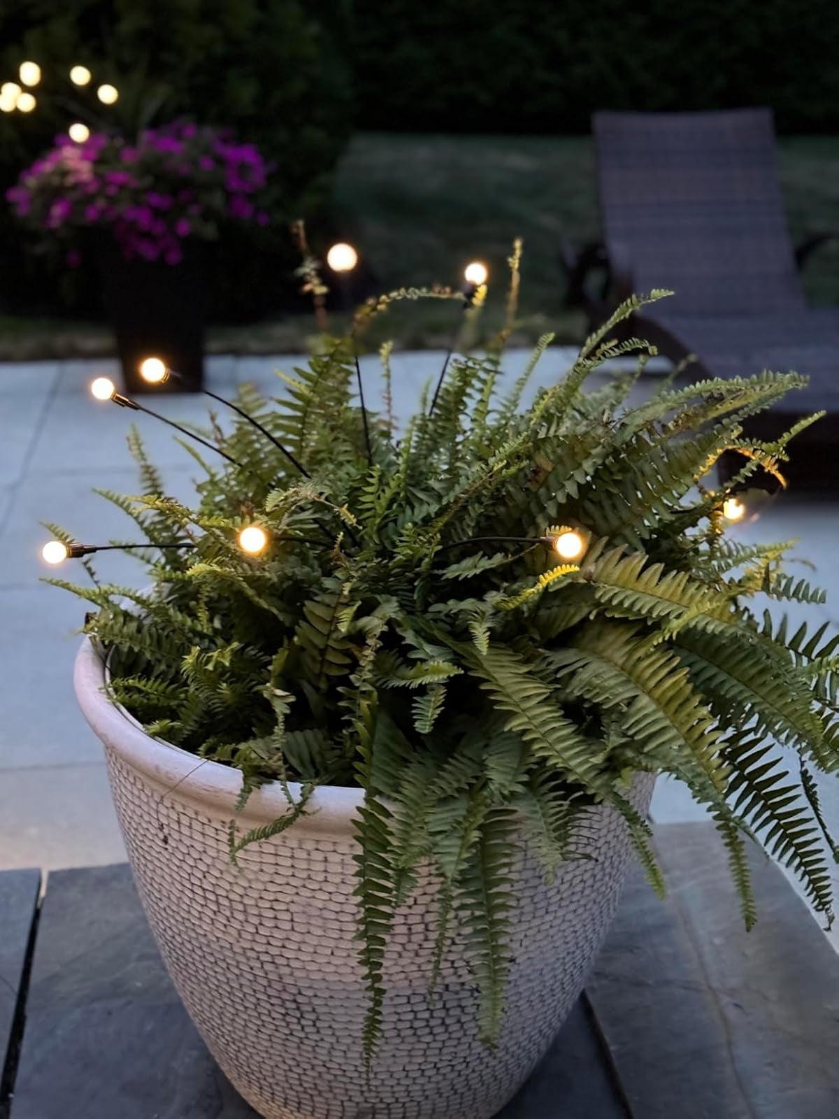 Potted fern works  with tiny  lights draped astir   it, acceptable   connected  a patio with a lounge seat  and flowering bush successful  the background
