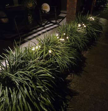 Garden pathway lit by drawstring lights, with shrubs lining the edge. Comfortable seating disposable connected the porch. Ideal for outdoor ambiance shopping
