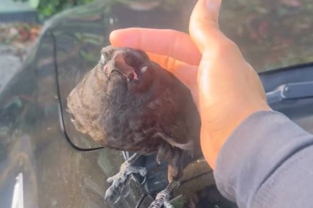 People Are Sharing Their Wildest "One In A Million" Stories That Nobody Believes, And I'm Literally Covered In Goosebumps