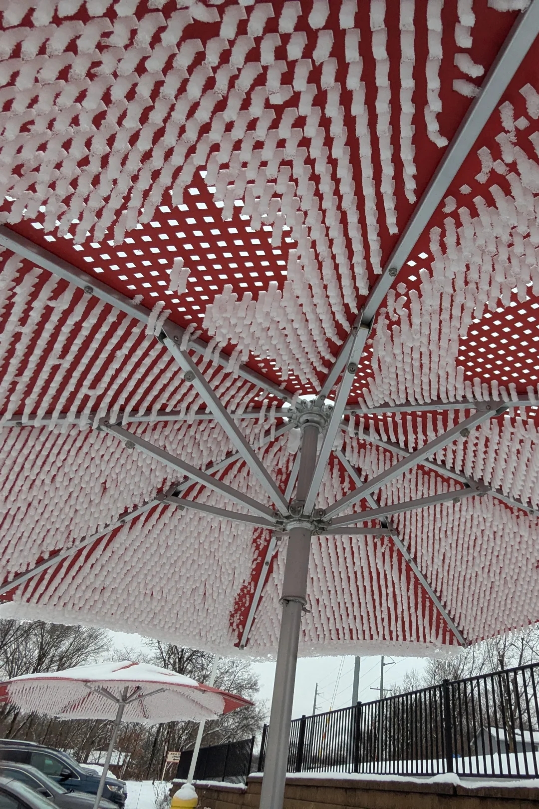 Snow-covered patio umbrellas with a checkered pattern, seen from below, make  a textured canopy effect. Snow-covered crushed  and trees successful  the background