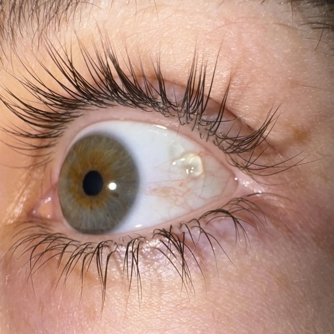 Close-up of a quality  oculus  wide   open, showing elaborate  iris and surrounding eyelashes