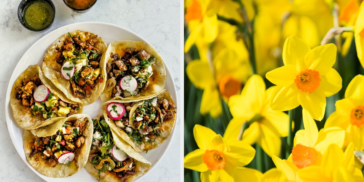 Plan Your Perfect Day And I'll Give You A Spring Flower