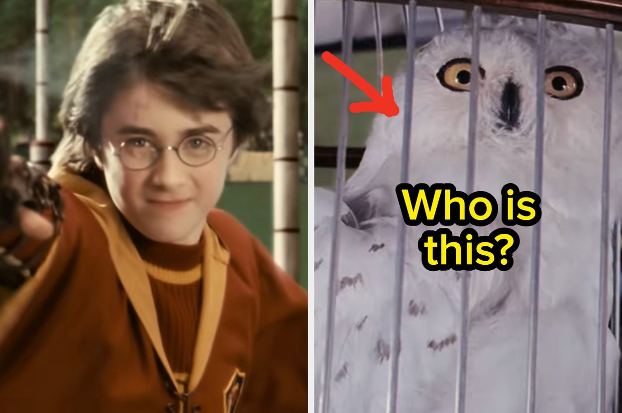 If You Can Ace This Basic "Harry Potter" Test In 60 Seconds, Your Nerd Brain Is Functioning At Peak Performance