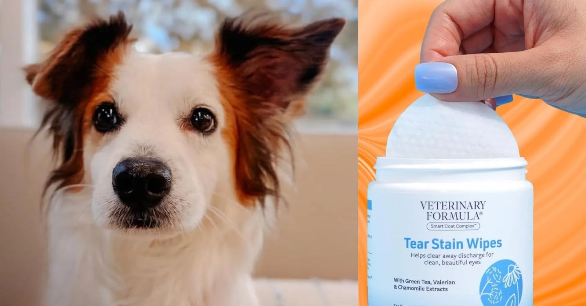 Your Pet’s Pesky Eye Boogers Are No Match For These Gentle Wipes