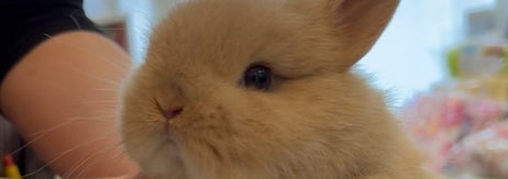 幼少期のめるちゃん（助丸さんのXアカウントより）