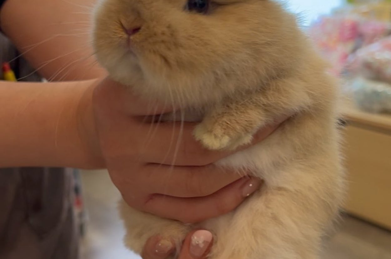 幼少期のめるちゃん（助丸さんのXアカウントより）