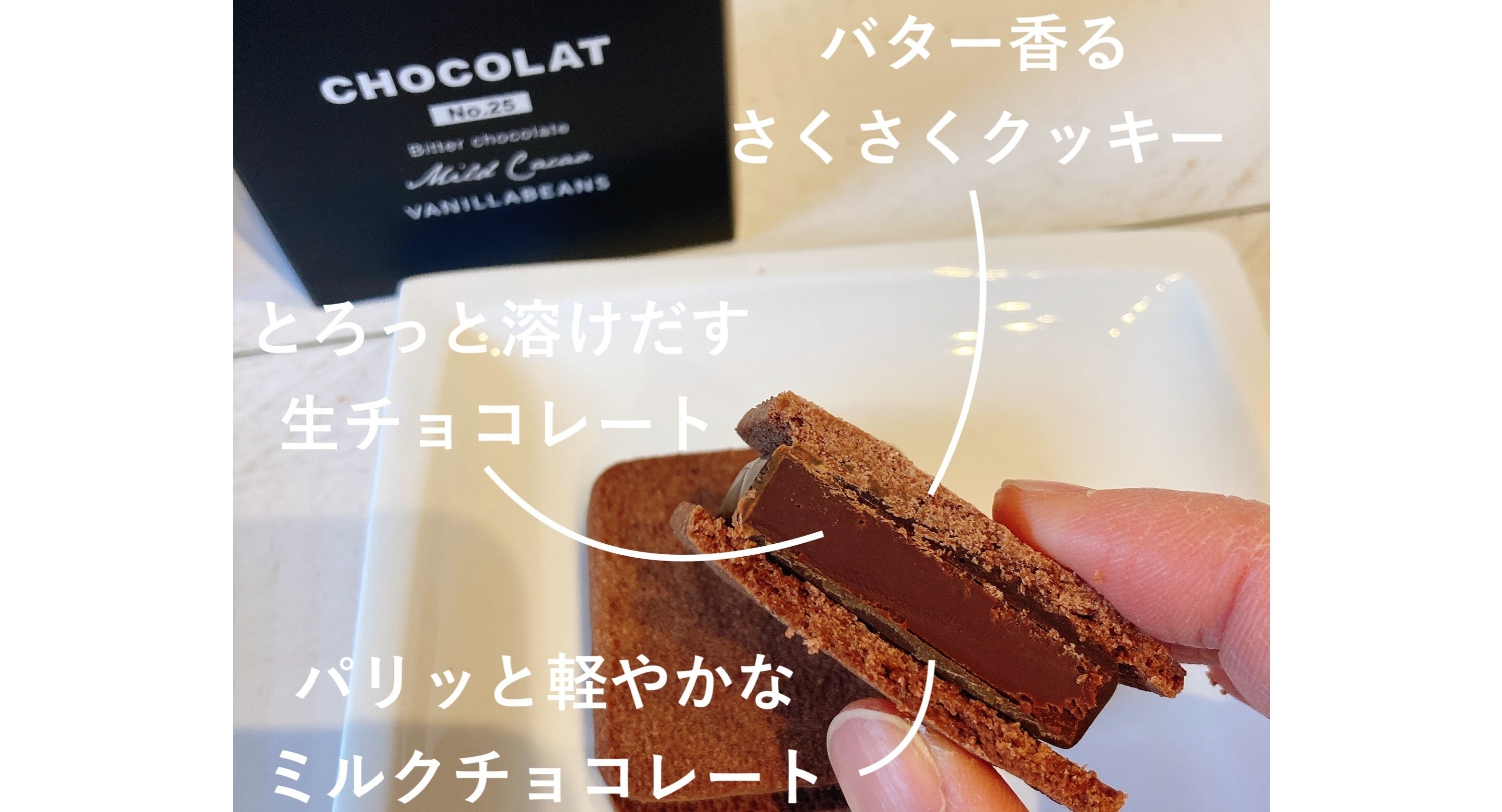 楽天スーパーセール】バニラビーンズの濃厚チョコ福袋が半額！先着100
