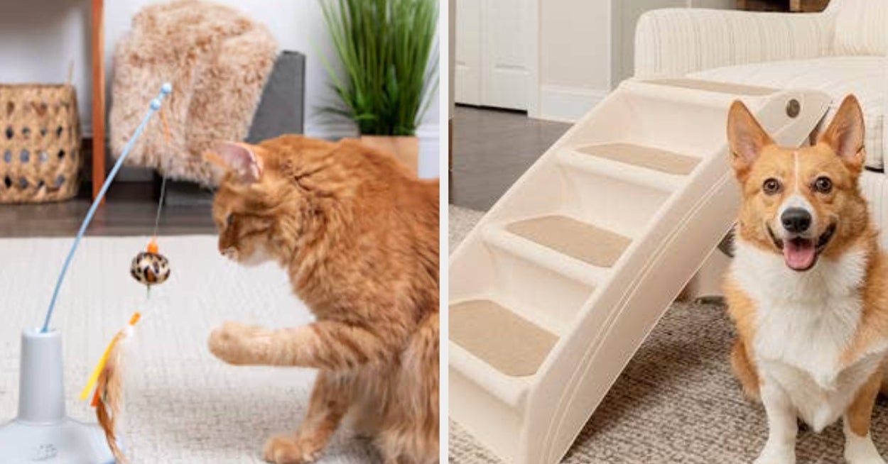 Just 20 Helpful Products From Petco Because Owning A Pet Is Hard