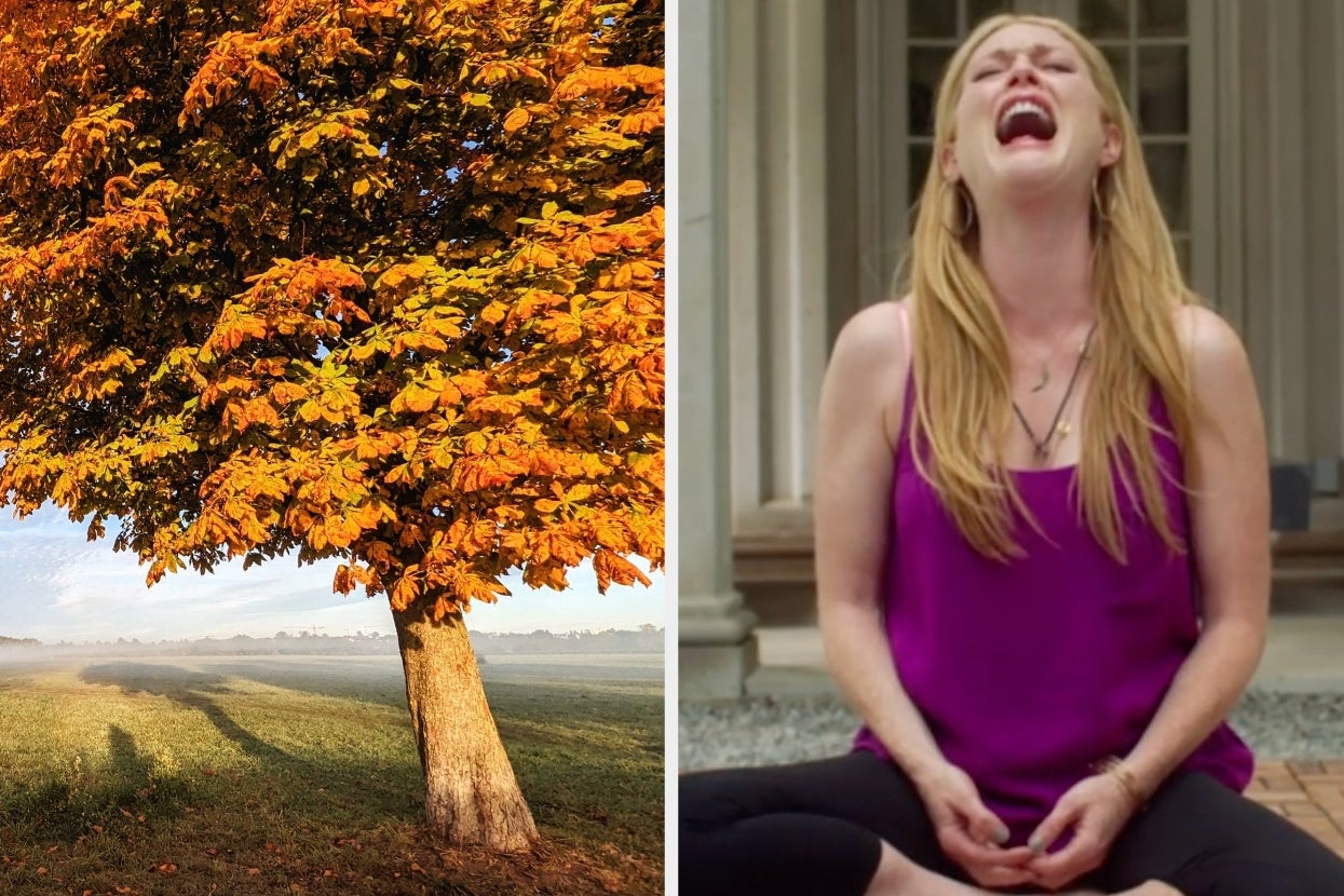 In Need Of A Tree And Meditation Style? Take This Quiz!