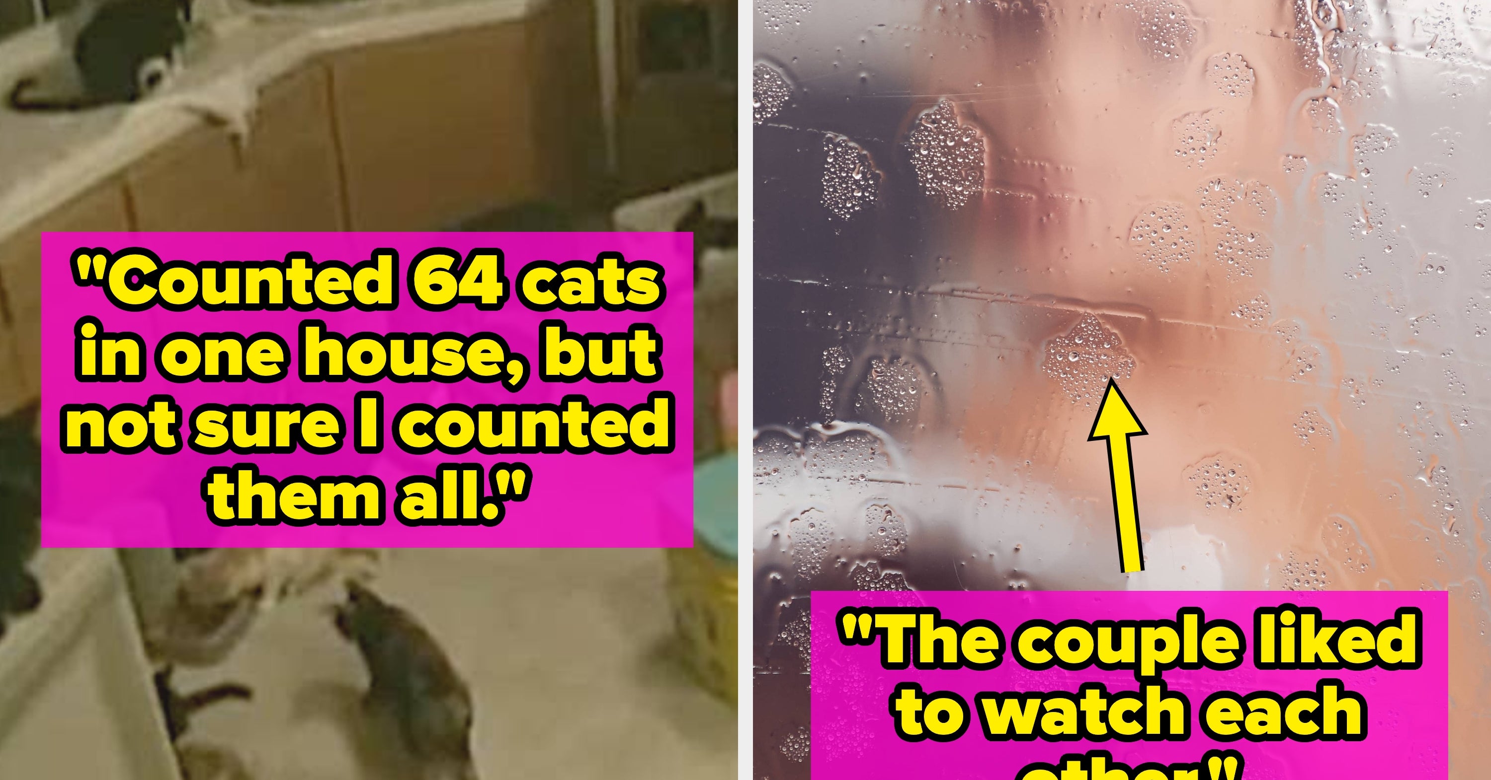 "Chickens Shat Everywhere": Home Service Workers Are Sharing The Most Jaw-Dropping Things They've Seen In Clients' Homes, And I'm Genuinely Shocked