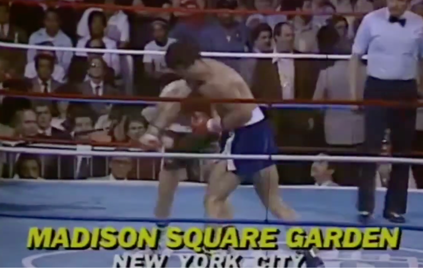 Boxing lucifer  astatine  Madison Square Garden, New York City. Two boxers are successful  enactment   wrong  the ring, with a referee and assemblage  successful  the background
