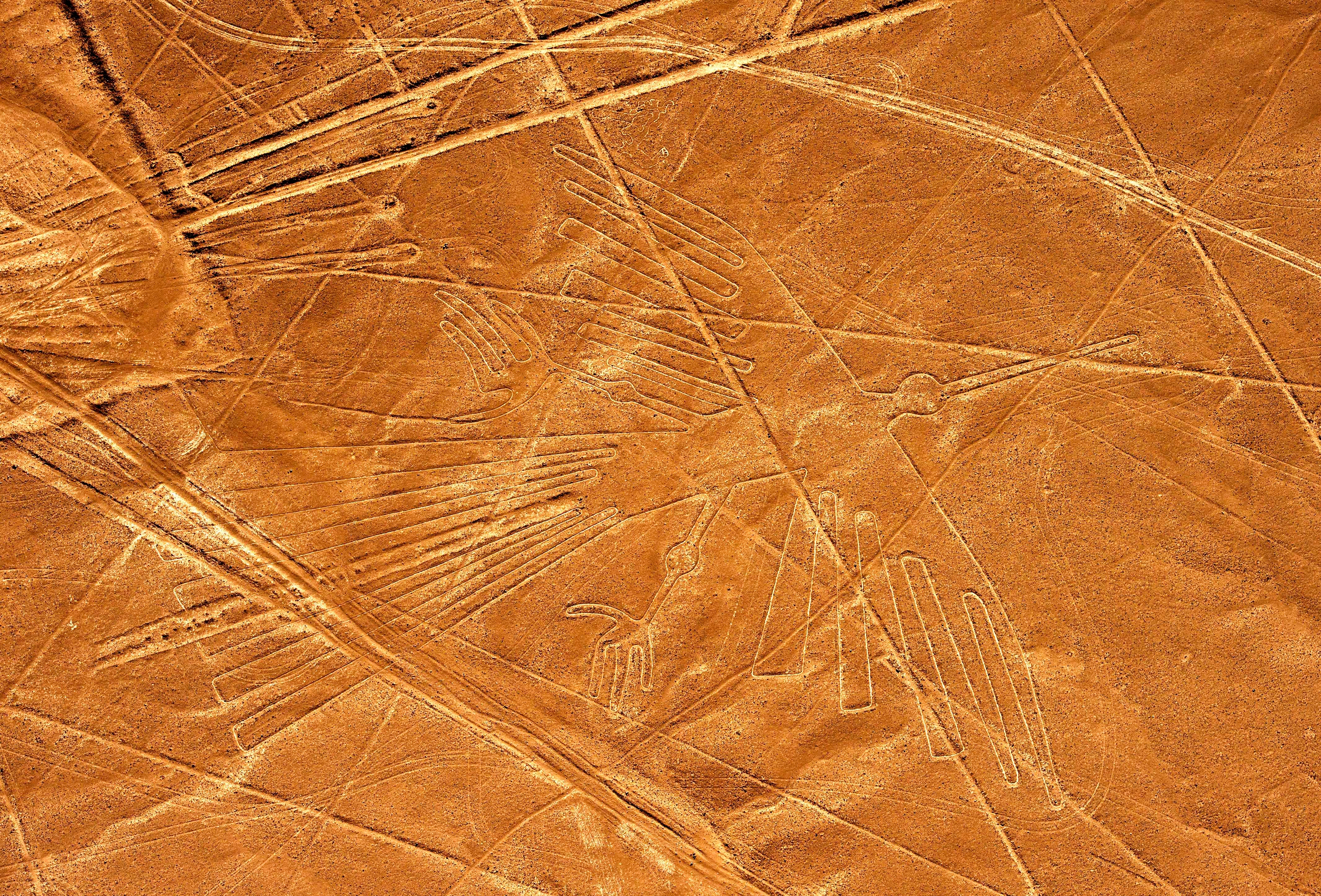 Aerial presumption    of the Nazca Lines successful  Peru, depicting a ample  geoglyph of a vertebrate  with intricate lines