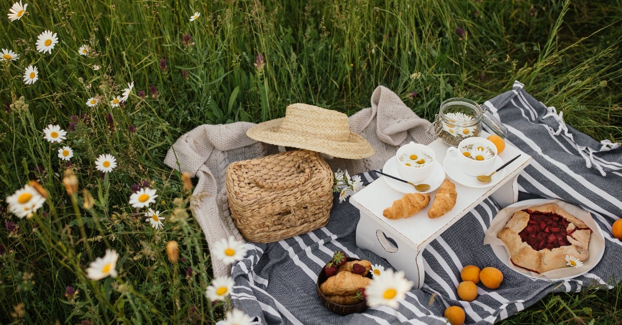 Which Spring Activity Should You Incorporate Into Your Routine? Plan A Picnic To Find Out