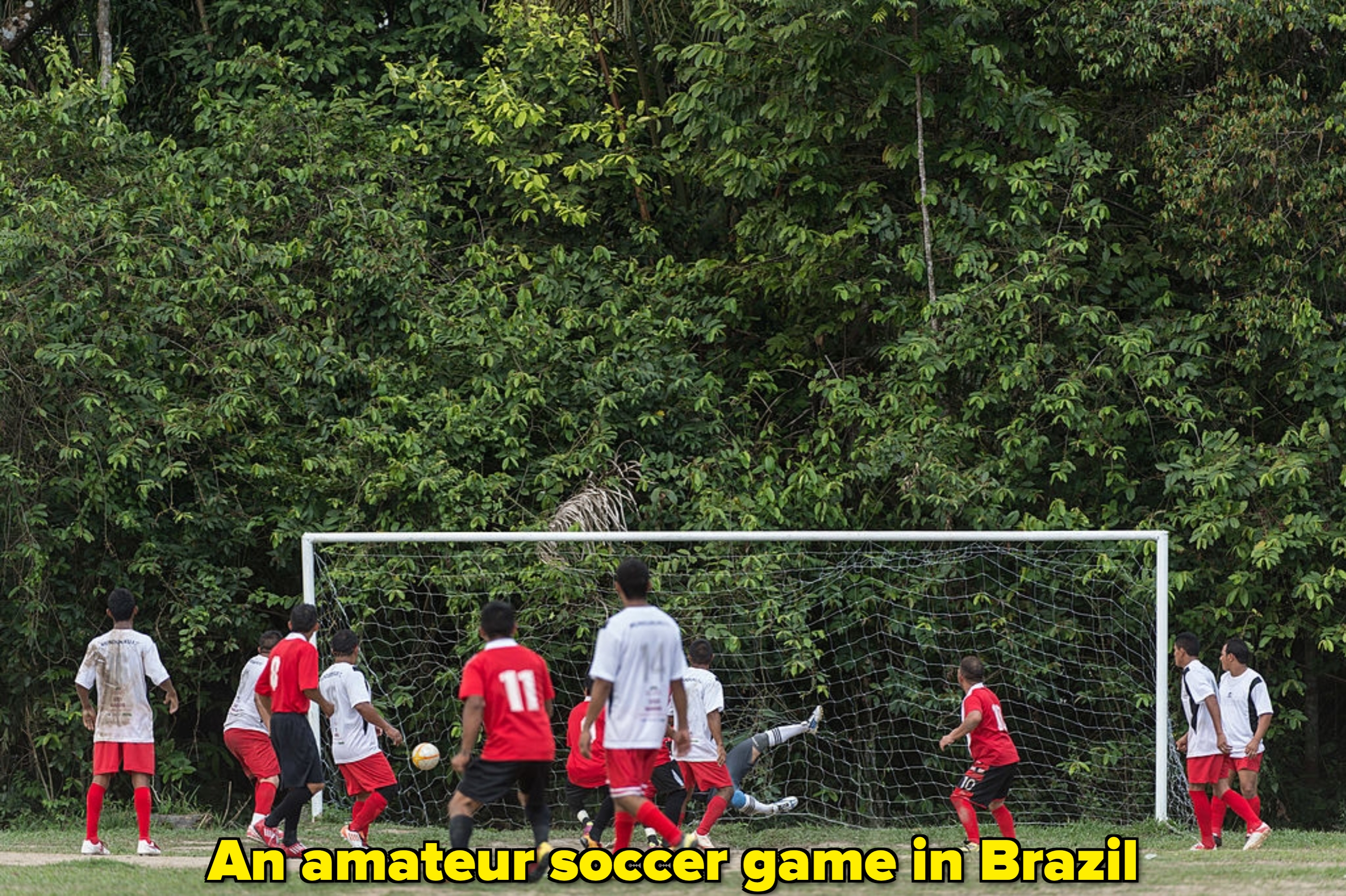 Soccer players successful  reddish  and achromatic  jerseys adjacent   the goalpost, surrounded by lush trees, during a match