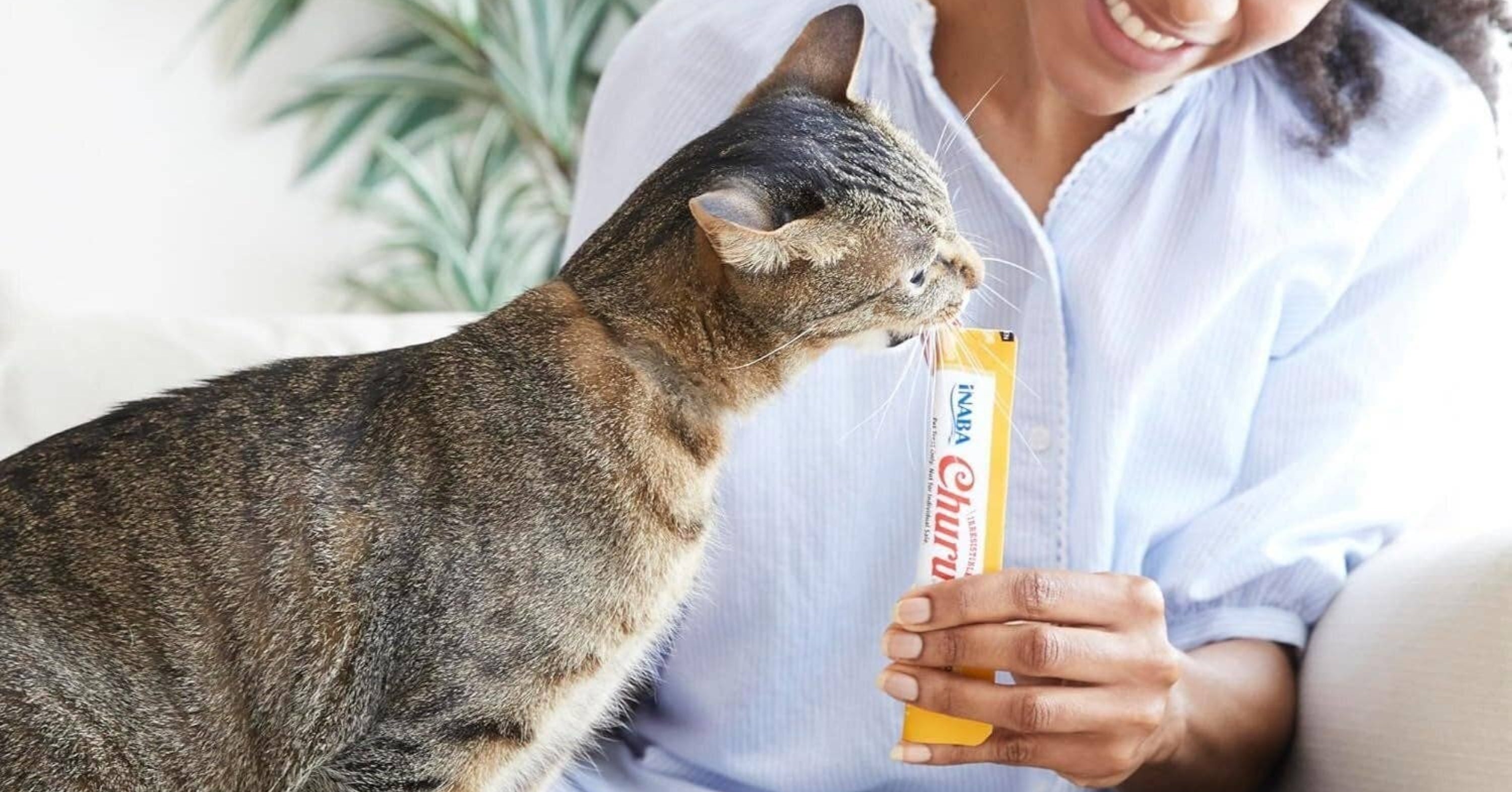 My Picky Cats Are Obsessed With These Squeezable Treats — A Vet Explains The Hype