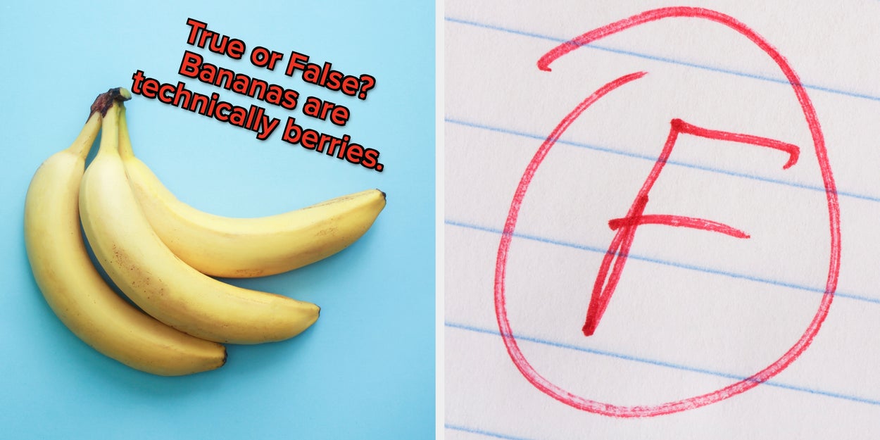 True Or False: General Knowledge Edition