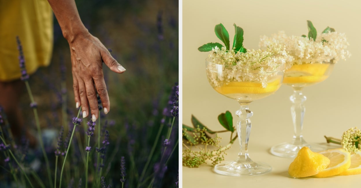 Which Of These Floral Elixirs Should You Try?