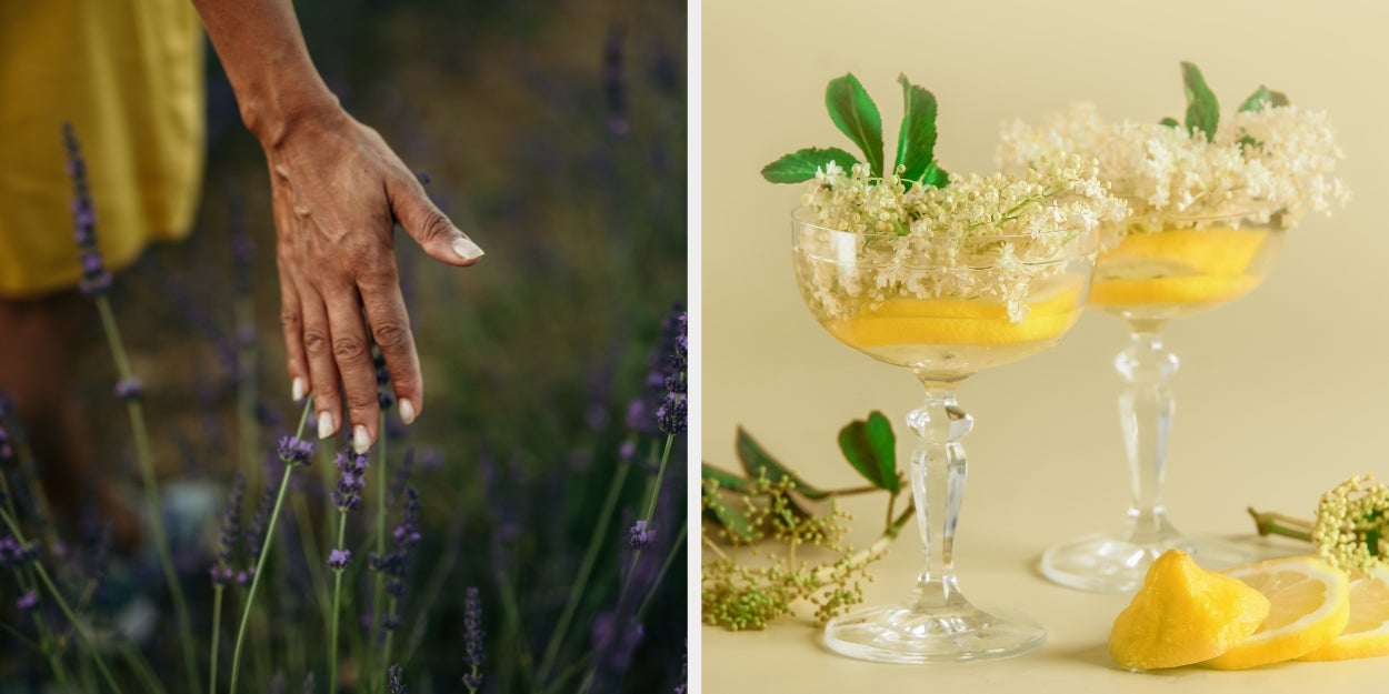 Which Of These 9 Flowers Should You Actually Be Drinking This Spring?