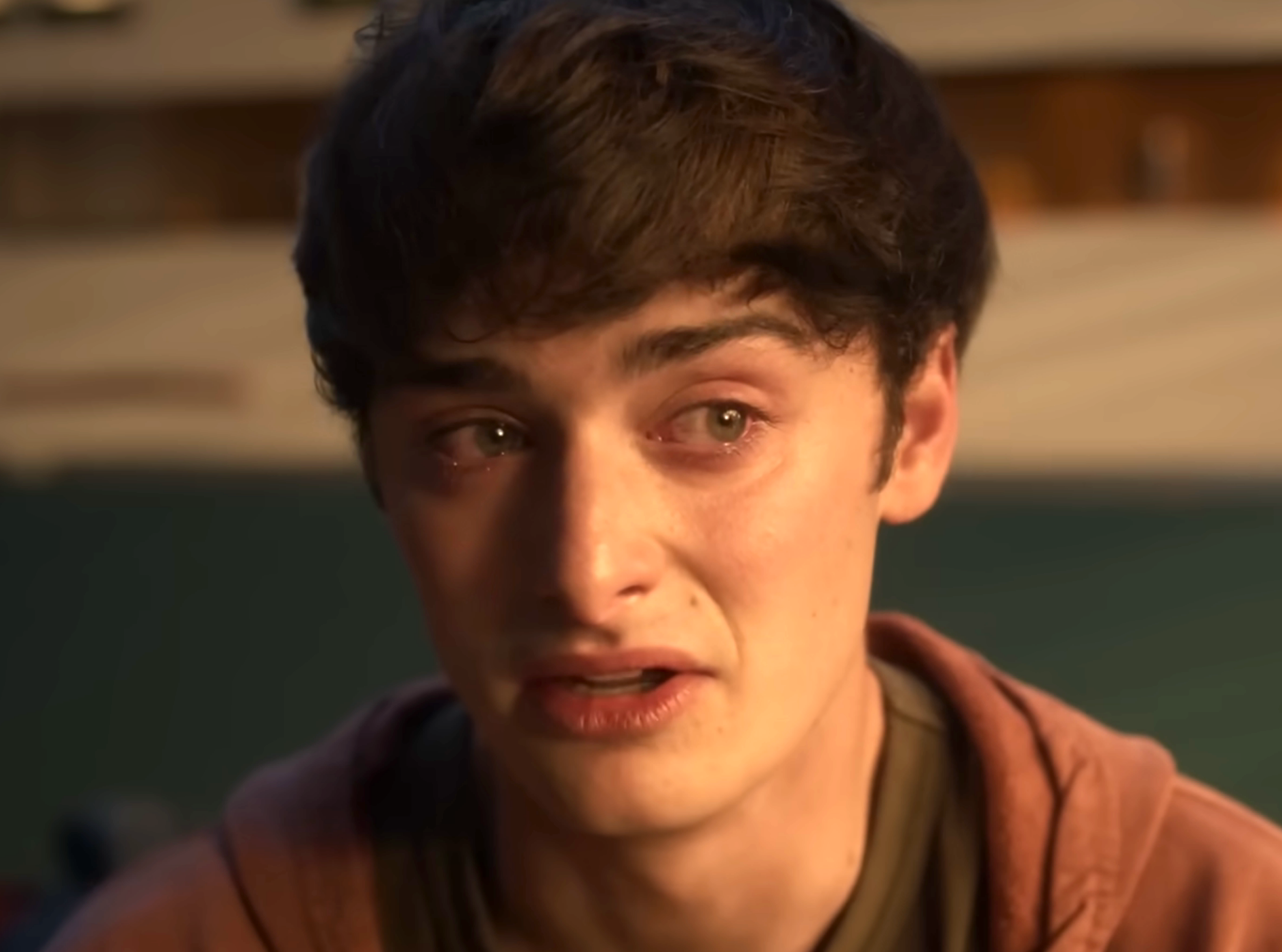 A idiosyncratic   with an affectional  expression, eyes watery, looking somewhat  to the side, wearing a casual hoodie