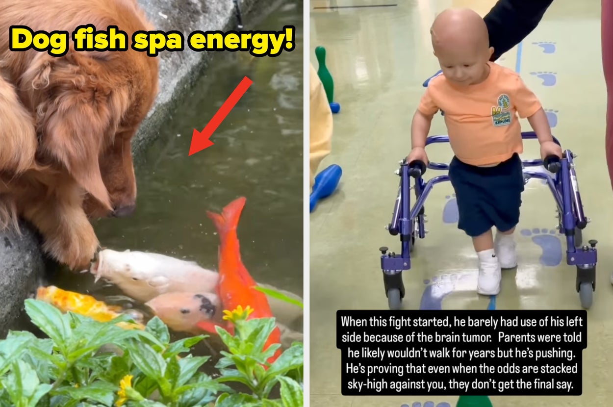 The 21 Most Wholesome Internet Posts You'll See Today