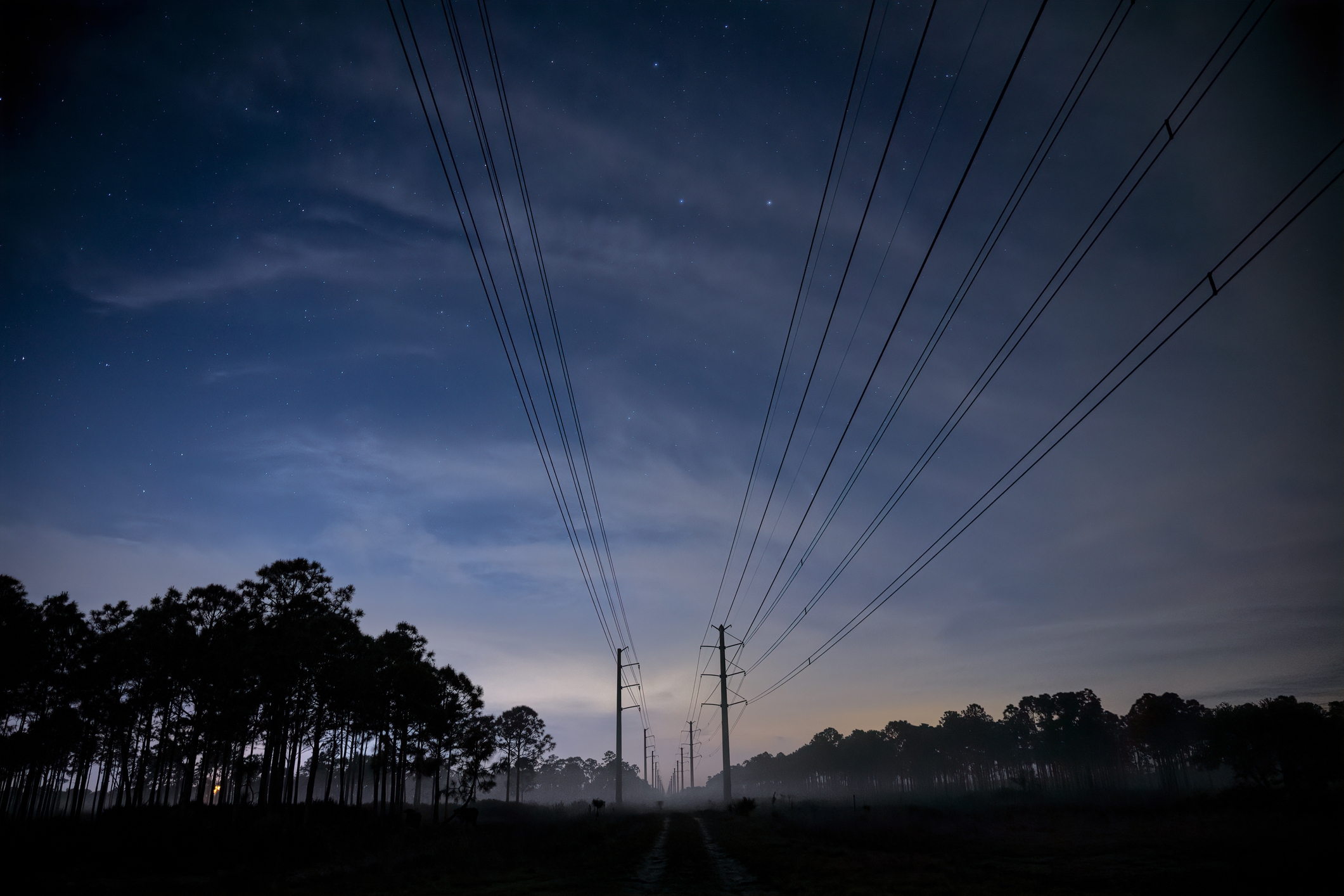 イメージ写真 / Diana Robinson Photography / Getty Images