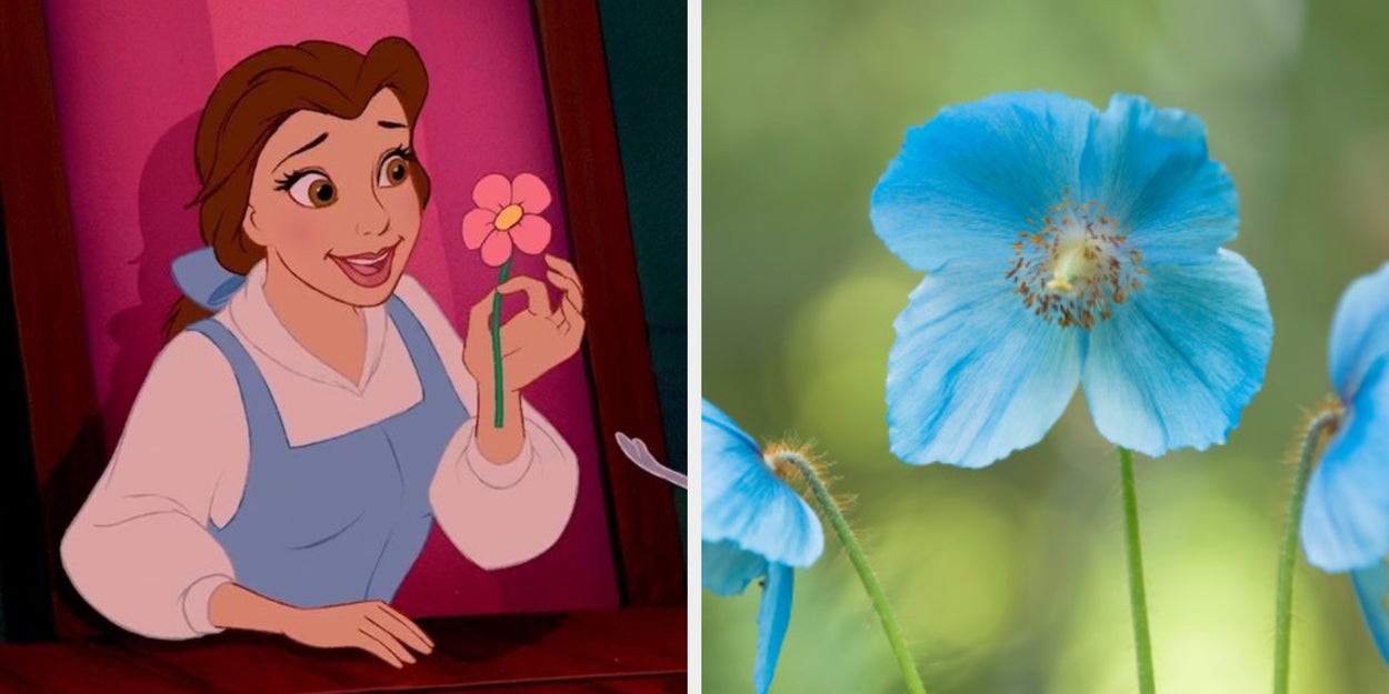 Forget Roses And Daisies: Which One-Of-A-Kind Rare Flower Are You?