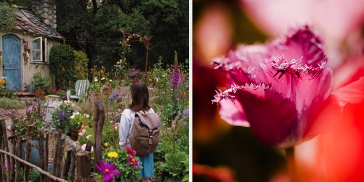 Create The Most Luxurious Garden Ever To Reveal Which Spring Bloom Matches You 100%