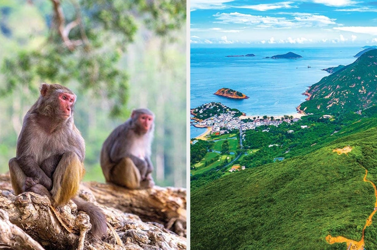 The Ultimate Guide To The Outdoors In Hong Kong — No Matter What You Love To Do
