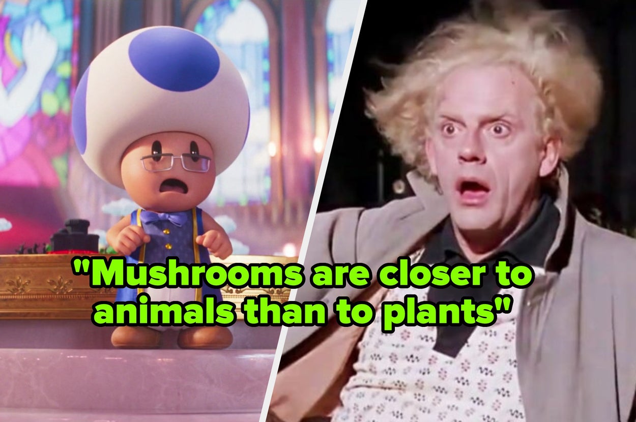 Scientists Are Sharing The Facts That Are More Wild Than We Even Think