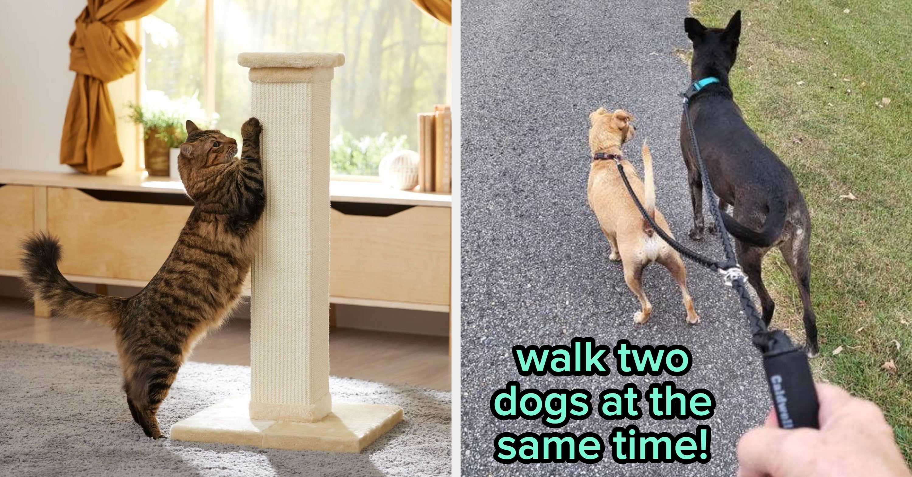 27 Excellent Products From Chewy That Honestly Each Deserve A Trophy